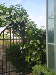 a gate with white flowers on it next to a building at Doolv Guest House in Islamabad