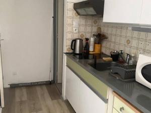 una cucina con un lavello e un piano di lavoro di Studio ensoleillé en centre-ville, animaux admis - FR-1-703-206 ad Amélie-les-Bains-Palalda