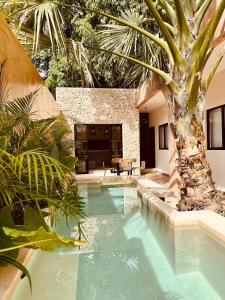 a pool with a palm tree in a house at Casa Ámbar, tu casa en Mérida in Mérida
