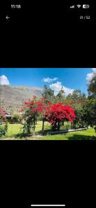 Φωτογραφία από το άλμπουμ του La HACIENDA LODGE & CAMPING σε Santa Teresa +43 φωτογραφίες