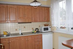 Kuchnia lub aneks kuchenny w obiekcie Apartamenty Vega