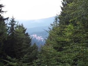 Blick auf einen Berg durch die Bäume in der Unterkunft Brockenapartments in Schierke