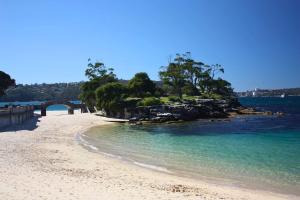 una playa con un puente y un poco de agua y árboles en The Sunlit Fern - Minutes from Dining & Coastline, en Sídney