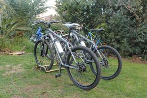 Pyöräilyä majoituspaikan Il Giardino di Valentina alueella tai lähistöllä