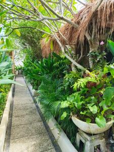 a garden with some plants and a walkway at Lavella Villas Kuta Lombok in Kuta Lombok