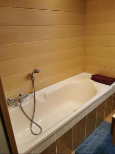 - vasca da bagno in camera con doccia di Vanessa et Julien 1 a Vailly-sur-Sauldre