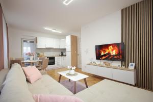 ein Wohnzimmer mit Couch und Kamin in der Unterkunft Apartman Babić Lux in Vrnjačka Banja