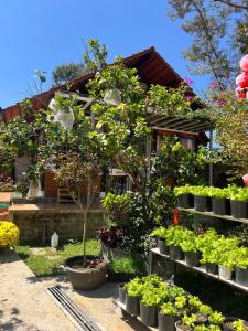 Zahrada ubytování Homestay Bảo Lộc Ngọc Kim