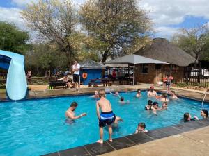 a group of people in a swimming pool at Coga Cottage - Marloth Park in Marloth Park