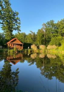 a cabin in the middle of a lake at Oaza Ławki in Ryn