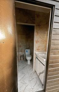 a bathroom with a toilet and a sink at Bosogo Resort in Pervomayskoye