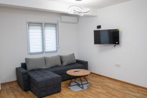 Μια τηλεόραση ή/και κέντρο ψυχαγωγίας στο Apartman Tasic