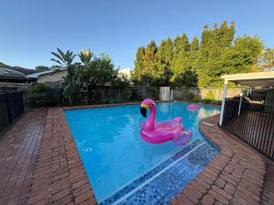 a swimming pool with a pink flamingo in the water at 4BR big family house with huge pool in Brisbane