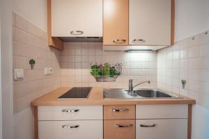 Kuchyň nebo kuchyňský kout v ubytování Seeappartements Leitner + 20 fotografií