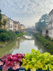 un puente sobre un río con flores en un barco en My Palladio Suite, en Vicenza