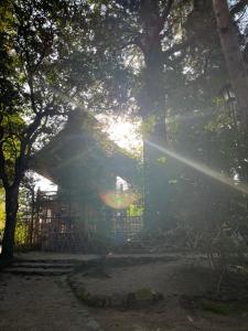 Fotografie z fotogalerie ubytování すさのわ v destinaci Izumo