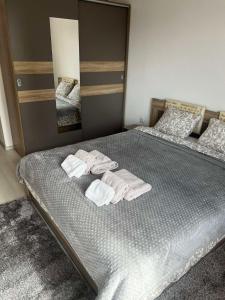 Katil atau katil-katil dalam bilik di The Place -Apartments in Plovdiv, with private parking