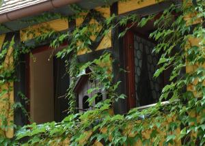 Zahrada ubytování Hotel Leicht