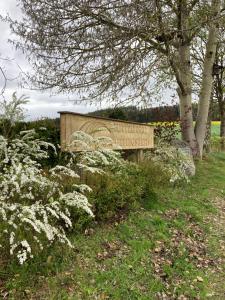Zahrada ubytování Waldblick