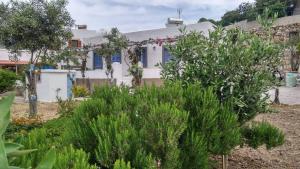 een huis in een tuin met bomen en struiken bij Aloe House in Patmos