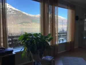Fotografie z fotogalerie ubytování Fjordview 35 v destinaci Lofthus