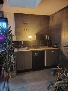 Kuchyň nebo kuchyňský kout v ubytování Station des Plaisirs LOVEROOM