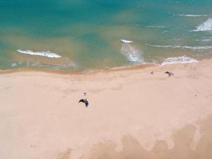 a group of people on a beach near the ocean at Hotel Spartivento in Chia