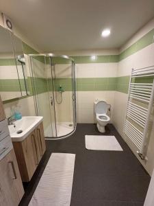 A bathroom at CityApt Wolfik Stockerau