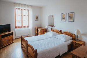 Un dormitorio con una cama grande y un televisor. en OREA Hotel Arigone Olomouc, en Olomouc