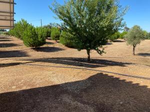 Fotografie z fotogalerie ubytování Monte Açores v destinaci Ferreira do Alentejo