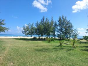 a field with trees and the ocean in the background at Sea View Rodrigues - Mourouk in Rodrigues Island