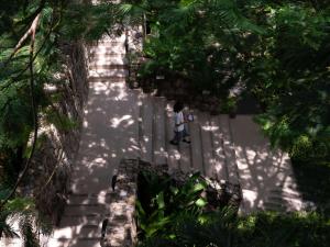 芭东海滩Avista Hideaway Phuket Patong - MGallery的沿着花园的小径走的人
