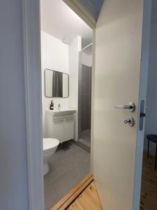 コペンハーゲンにあるKattesundet Apartments Best Location in Copenhagenのトイレと洗面台付きのバスルーム +56枚の写真