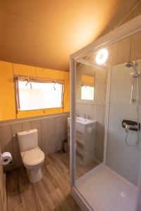 a bathroom with a toilet and a shower and a sink at Camping des Gorges de La Loire in Aurec-sur-Loire