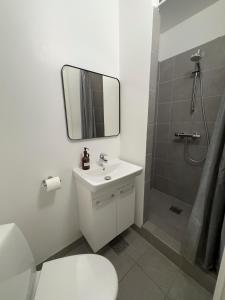 a bathroom with a sink and a shower with a mirror at Kattesundet Apartments Best Location in Copenhagen in Copenhagen