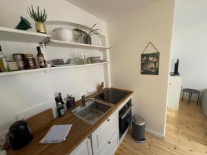 a kitchen with a sink and a counter at Kattesundet Apartments Best Location in Copenhagen in Copenhagen