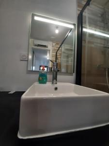 モントーバンにあるLe beau T3 Fonneuve clim parking facileの蛇口と鏡が付いたバスルームのシンク +8枚の写真