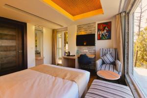 Televisyen dan/atau pusat hiburan di Hotel Katson Blue, Dalhousie