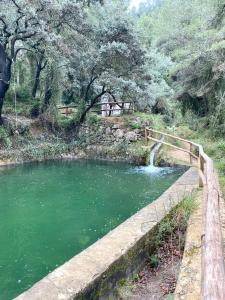a pond with a wooden fence next to a river at El Somni de Paqui Apartamentos Boutique Only Adults in Alfafara