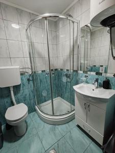 Villa Contact في دوبرا فودا: حمام مع دش ومرحاض ومغسلة