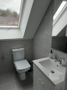 a bathroom with a toilet and a sink and a window at Dom Nad Potokiem Średnia Wieś in Hoczew +13 photos
