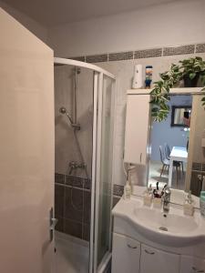 a bathroom with a shower and a sink at Soproniutas CentROOM Apartman in Sopron +16 photos