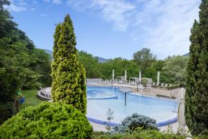 a large swimming pool in a garden with trees at Thermal Hotel Visegrád in Visegrád