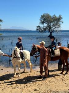 a group of children riding on horses on the beach at Camplung Beach Family Villa and Farmstead in Tejakula