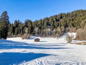 Chalet Vista dal Dragun by Interhome pozimi