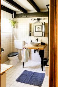 a bathroom with a sink and a toilet at Geographer`s Cottage II in Siegsdorf +42 photos