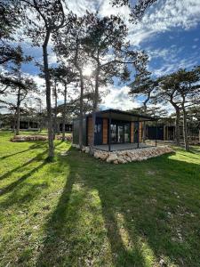 a house in a field with trees at Green Hill Mobile Home in Ražanac