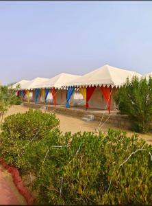 山姆Desert Jaisana camp jaisalmer的相册照片