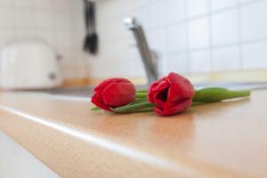 Fotografie z fotogalerie ubytování Appartementhaus Victoria - Whg B 18 - Meeresbrise v destinaci Sassnitz