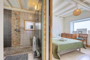 una camera con doccia e un letto in una stanza di Les Banians - Terre Sainte a Saint-Pierre
